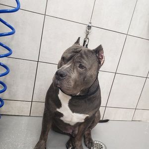 Meet your Posher, Nelson